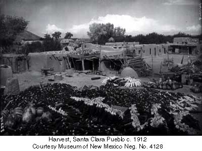 Harvest, Santa Clara Pueblo c. 1912 Courtesy Museum of New Mexico Neg. No. 4128