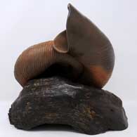 Mollusksculpturepiecewithcustomdriftwoodstand, click or tap to see a larger version