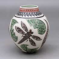 A polychrome jar decorated with a sgraffito and painted parrot, dragonfly, serpent and geometric design