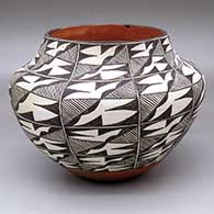 A polychrome jar decorated with a nine-panel black-on-white fine line and geometric design
 by Unknown of Acoma