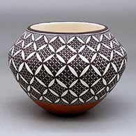 A polychrome jar decorated around the body with a yucca leaf snowflake, fineline and geometric design
 by Amanda Lucario of Acoma